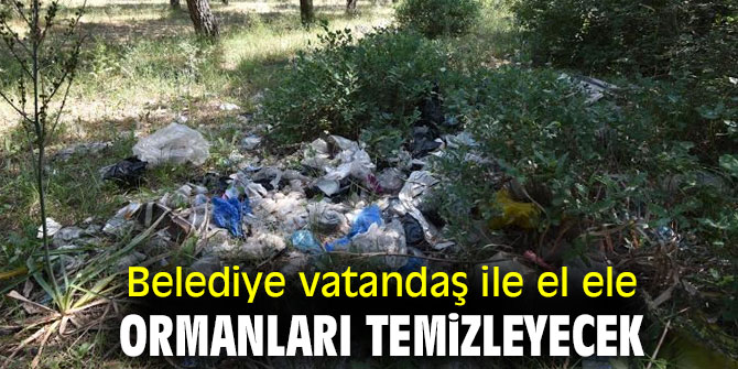 Belediye vatandaş ile el ele ormanları temizleyecek