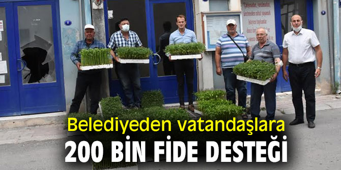 Belediyeden vatandaşlara 200 bin fide desteği