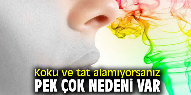 Dikkat! Koku ve tat alamıyorsanız pek çok nedeni var