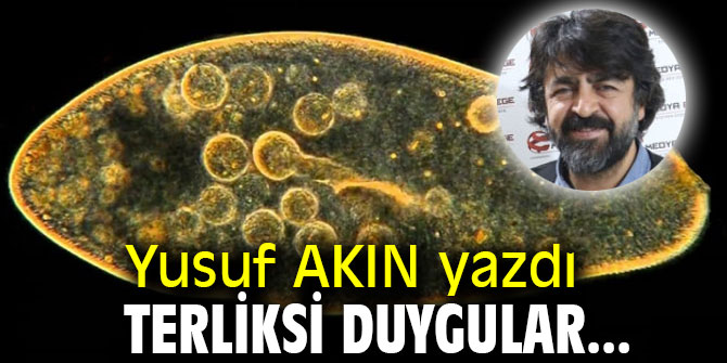 TERLİKSİ DUYGULAR...