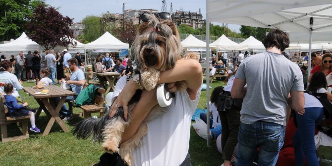 Pet Festivali Kemerburgaz'da gerçekleşecek