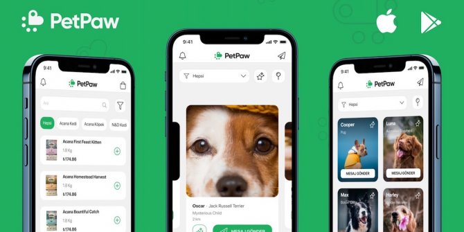 Evcil hayvanlar için sosyal medya platformu kuruldu! 