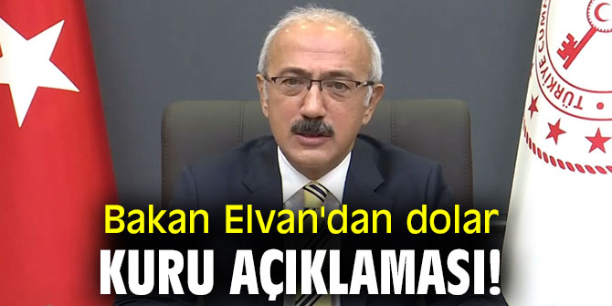 Bakan Elvan'dan dolar kuru açıklaması!