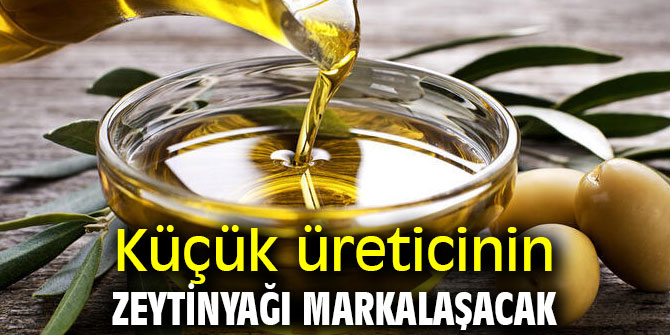 Küçük üreticinin zeytinyağı markalaşacak