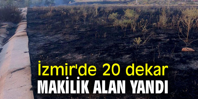 İzmir'de 20 dekar makilik alan yandı