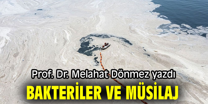 "BAKTERİLER VE MÜSİLAJ" Prof. Dr. Melahat Dönmez yazdı
