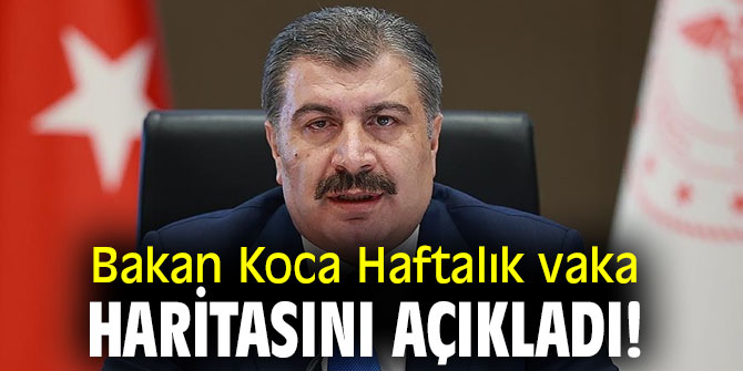 İllere göre haftalık vaka haritası