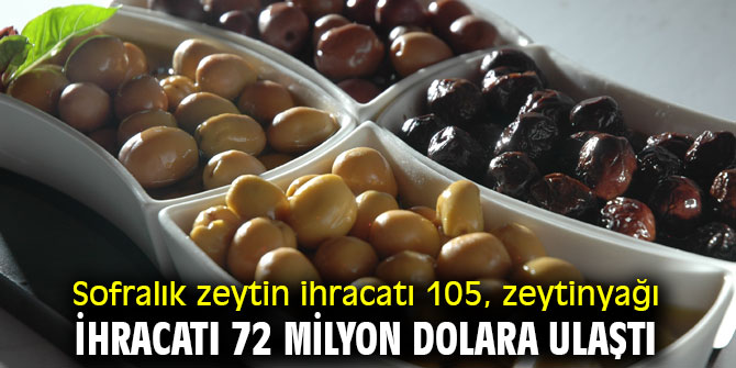 Sofralık zeytin ihracatı 105, zeytinyağı ihracatı 72 milyon dolara ulaştı
