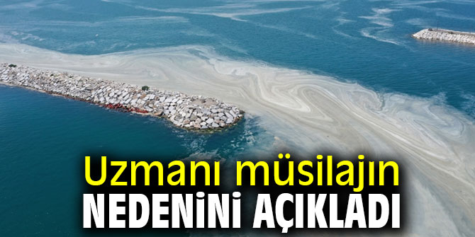 Uzmanı müsilajın nedenini açıkladı