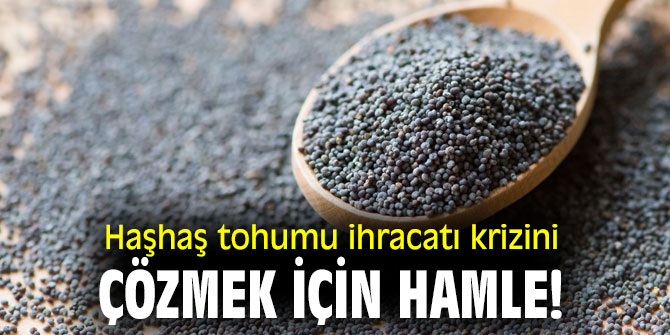Haşhaş tohumu ihracatı krizini çözmek için hamle!