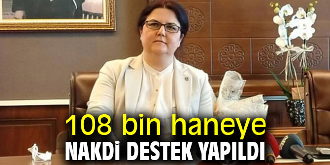 108 bin haneye nakdi destek yapıldı