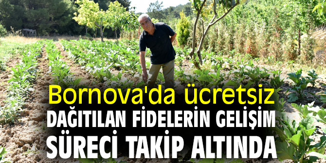 Bornova'da ücretsiz dağıtılan fidelerin gelişim süreci takip altında