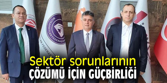 Sektör sorunlarının çözümü için güçbirliği