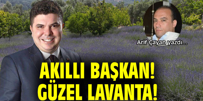 AKILLI BAŞKAN! GÜZEL LAVANTA!