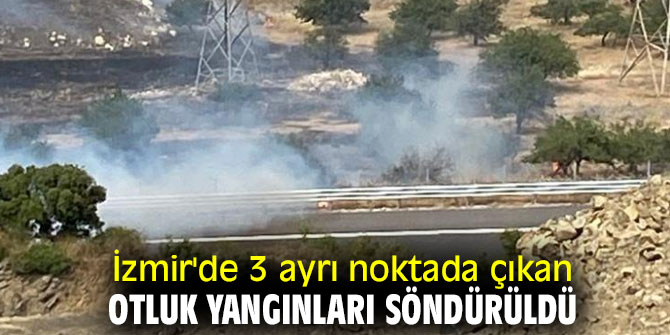 İzmir'de 3 ayrı noktada çıkan otluk yangınları söndürüldü
