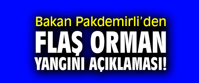 Bakan Pakdemirli’den flaş orman yangını açıklaması!