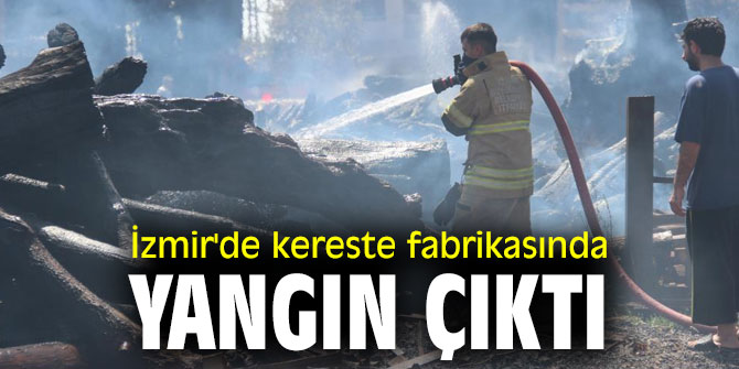 İzmir'de kereste fabrikasında yangın çıktı