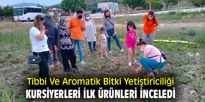 Tibbi Ve Aromatik Bitki Yetiştiriciliği Kursiyerleri İlk Ürünleri İnceledi