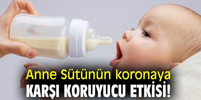 Anne Sütünün koronaya karşı koruyucu etkisi!