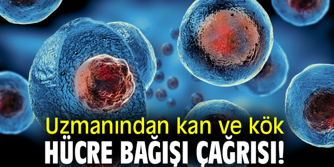 Uzmanından kan ve kök hücre bağışı çağrısı!