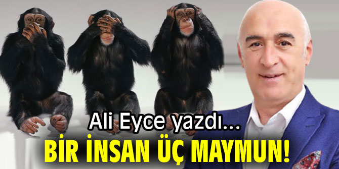 BİR İNSAN ÜÇ MAYMUN!