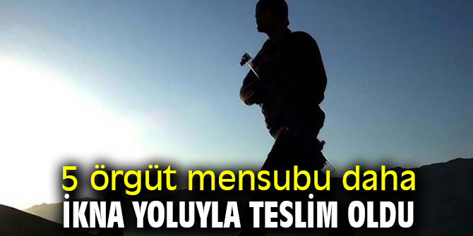 5 örgüt mensubu daha ikna yoluyla teslim oldu
