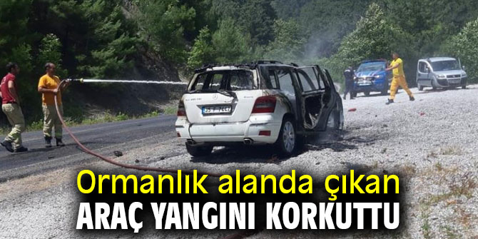 İzmir'de araç yangını korkuttu