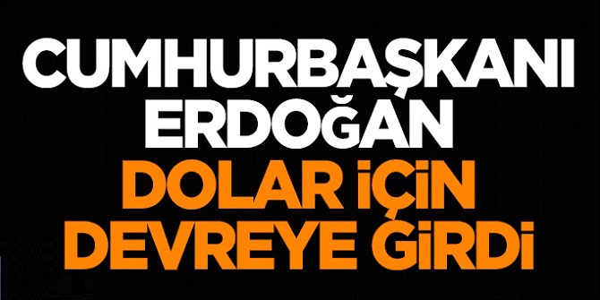 Dolar için Cumhurbaşkanı Erdoğan devreye girdi