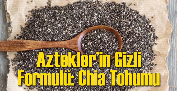 Aztekler'in Gizli Formülü: Chia Tohumu