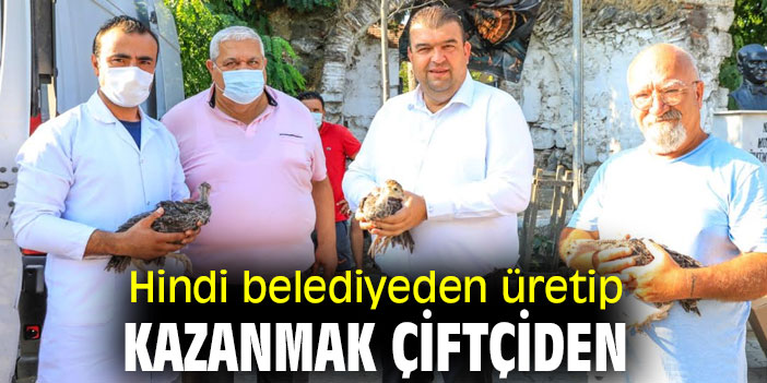 Seferihisar’da Hindi belediyeden üretip kazanmak çiftçiden