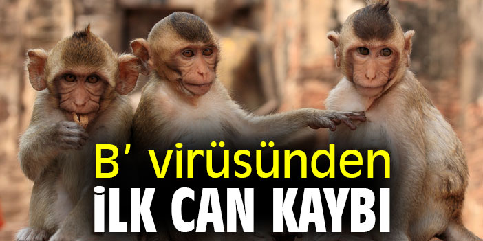 B' virüsünden ilk can kaybı