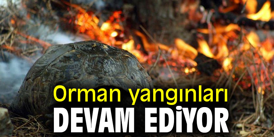 Orman yangınları devam ediyor