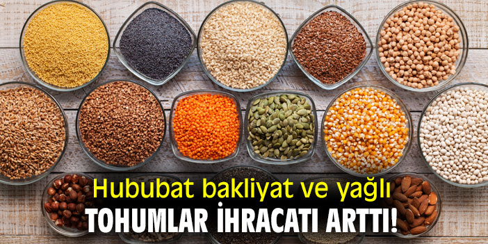 Hububat bakliyat ve yağlı tohumlar ihracatı arttı!