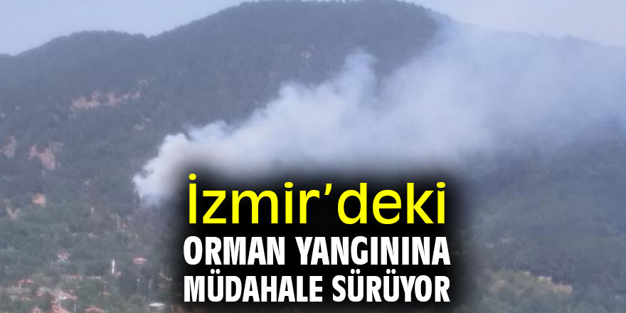 İzmir’de orman yangını