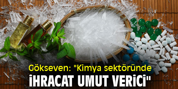 Gökseven: "Kimya sektöründe ihracat umut verici"
