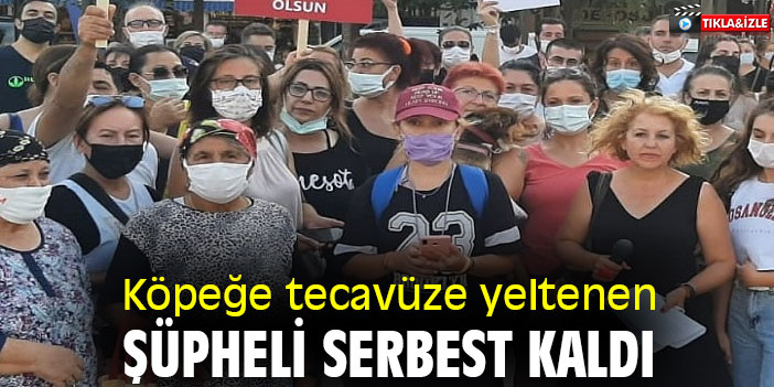 Köpeğe tecavüze yeltenen şüpheli serbest kaldı
