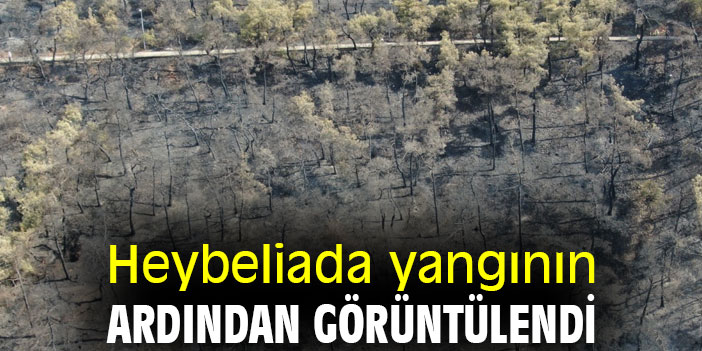 Heybeliada yangının ardından görüntülendi