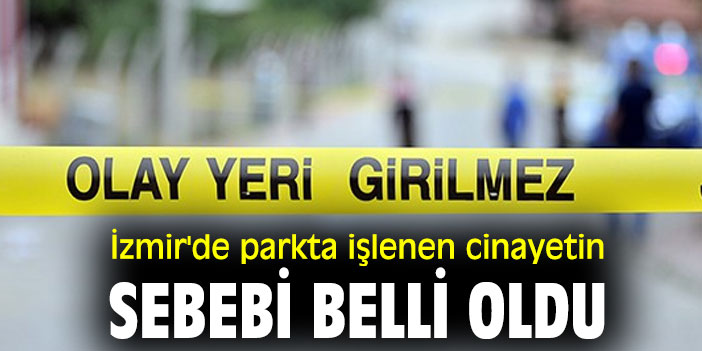 Parkta işlenen cinayetin sebebi belli oldu
