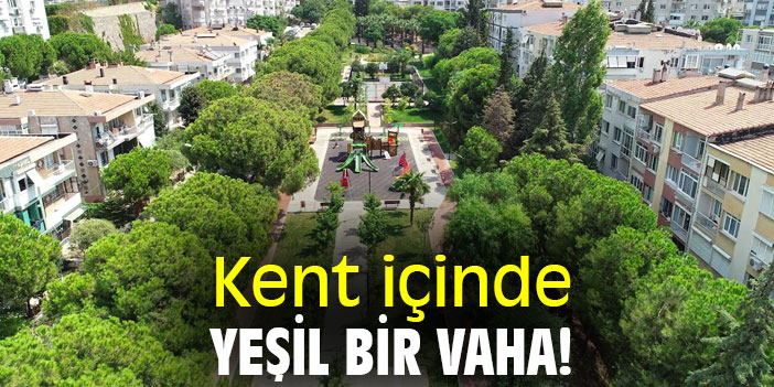 Kent içinde yeşil bir vaha!