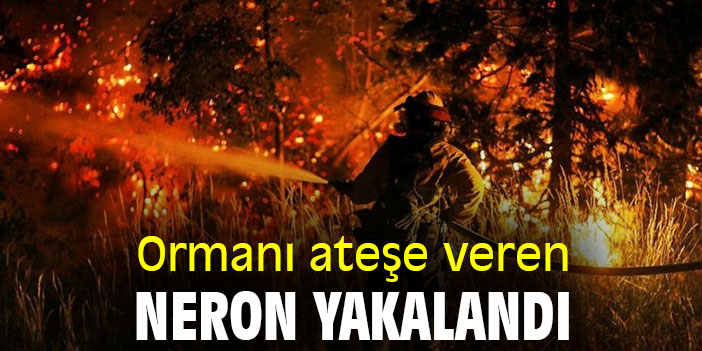 Ormanı ateşe veren neron yakalandı