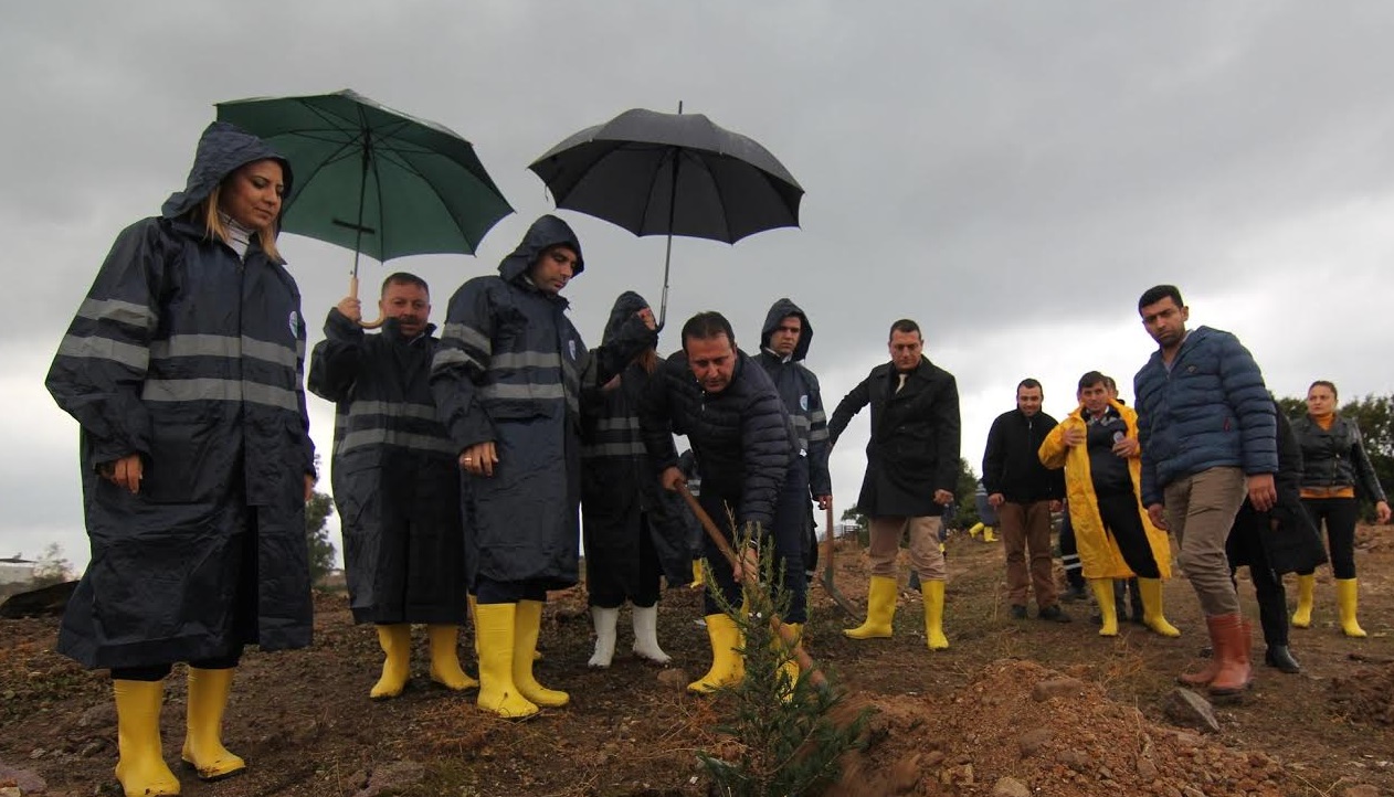 Görece Fidanlarla Süslendi