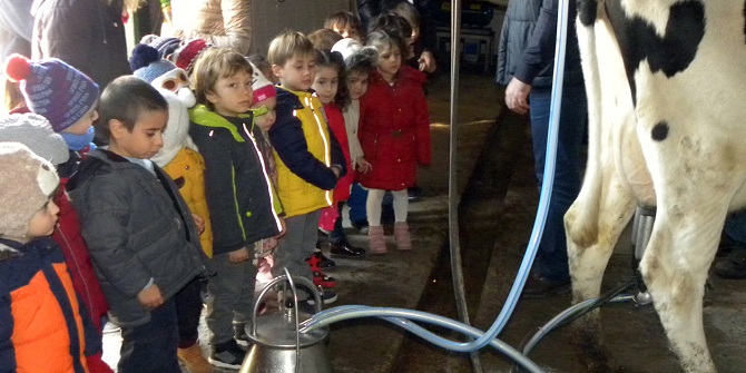 Küçük Şeyler süt peşinde!..