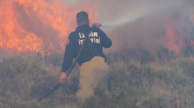 Çeşme'de 5 dönüm  alan kül oldu