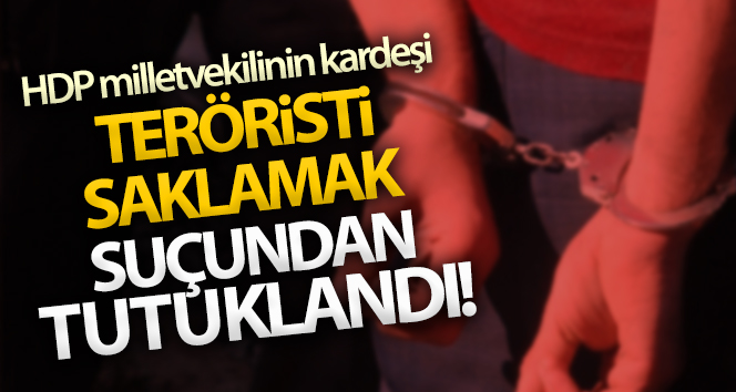 Teröristi saklamak suçundan tutuklandı