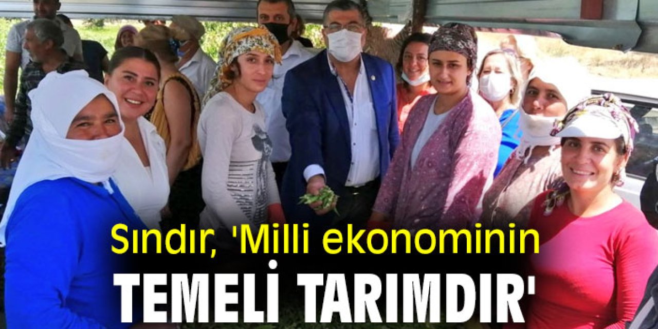 Sındır, 'Milli ekonominin temeli tarımdır'