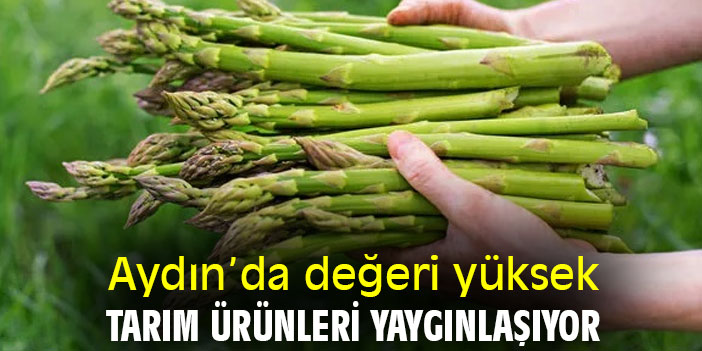 Aydın’da değeri yüksek tarım ürünleri yaygınlaşıyor
