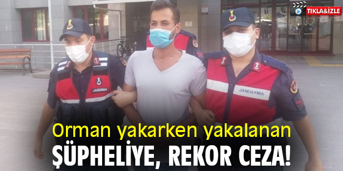 Orman yakarken yakalanan şüpheliye rekor ceza!