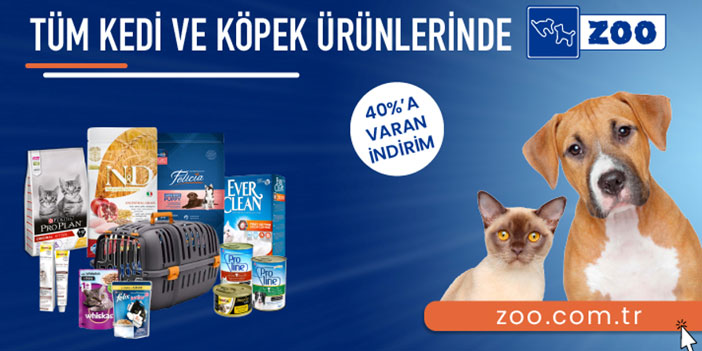 Kedi Maması ve Kedi Malzemeleri İçin En Doğru Adres Zoo.com.tr ‘de!