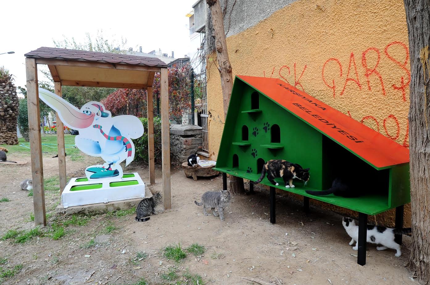 Soğuk havada sıcak yuva