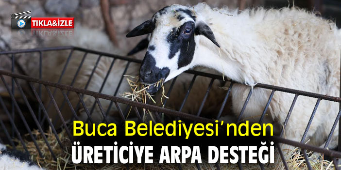 Buca Belediyesi’nden üreticiye arpa desteği